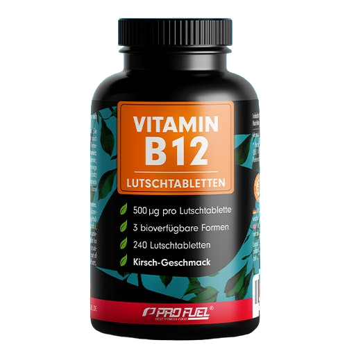 Veganski vitamin B12 – trešnja, 240 pastila