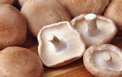 Siitake Siitake