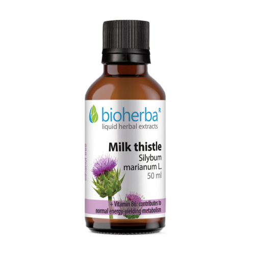 Máriatövis - tinktúra, 50 ml