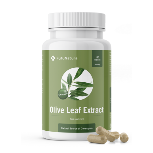 Olajfalevél – kivonat, 180 kapszula