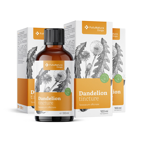3x Pitypanggyökér – tinktúra, összesen 300 ml