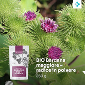 Image preview 1