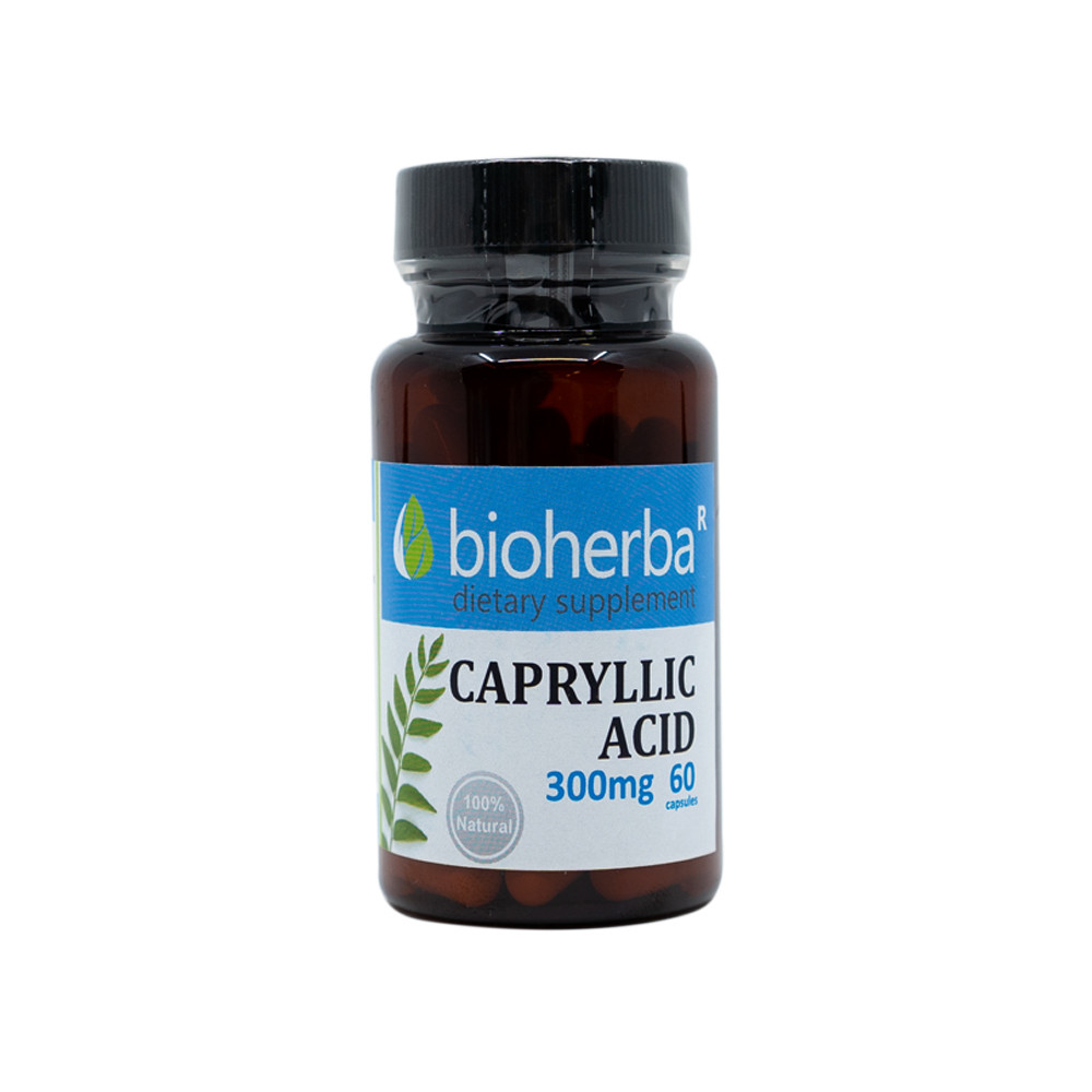 Probiotiche - gomme con culture microbiologiche
