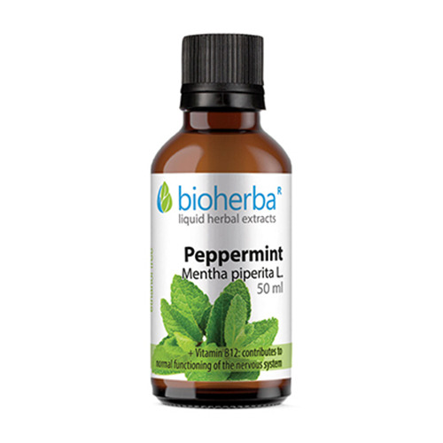 Menta piperita - tintura, 50 ml