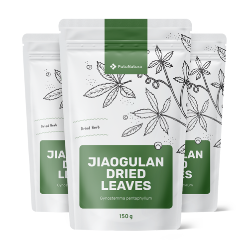 3x Jiaogulan foglie essiccate, totale 450 g