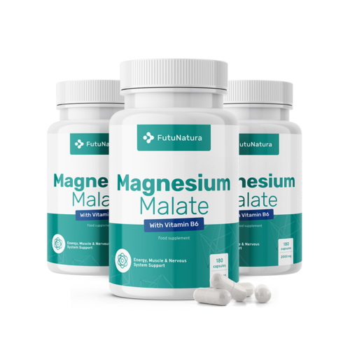3x Malato di magnesio 2000 mg, totale 540 capsule