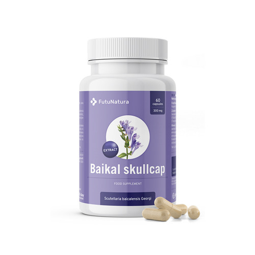 Zucchetto Baikal – estratto, 60 capsule
