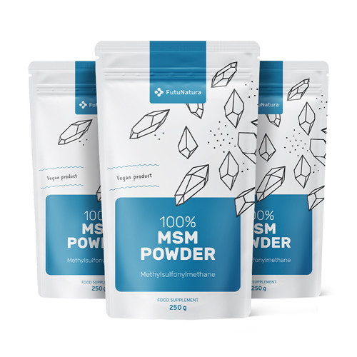 3x MSM in polvere, totale 750 g