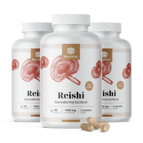 3x Reishi 1950 mg – estratto 5:1, totale 540 capsule