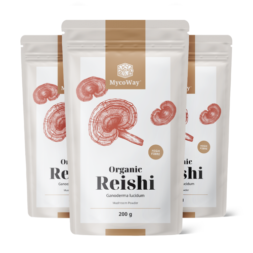 3x BIO Reishi in polvere, totale 600 g