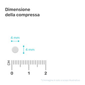 Image preview 1
