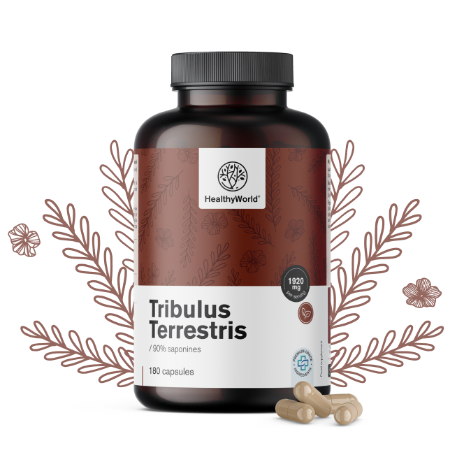 Buzdyganek naziemny – Tribulus 1920 mg