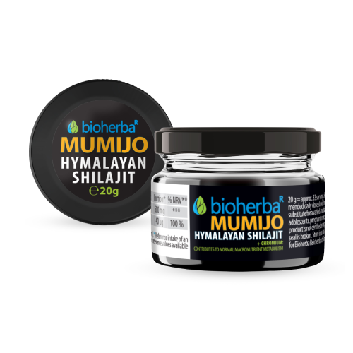 Żywica Shilajit (Mumio), 20 g