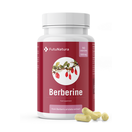 Berberyna 500 mg, 90 kapsułek
