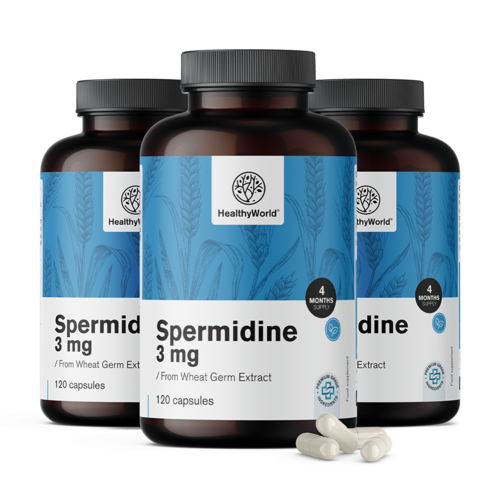 3x Spermidyna 3 mg – z ekstraktu z kiełków pszenicy, razem 360 kapsułek