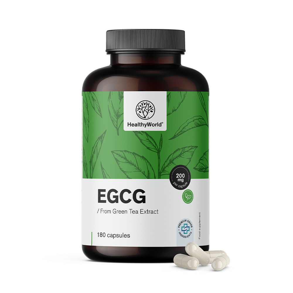 EGCG – z ekstraktu zielonej herbaty