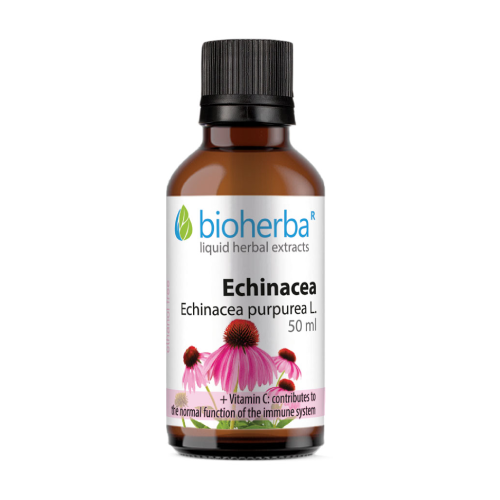 Tinctura Echinacea Americana.
