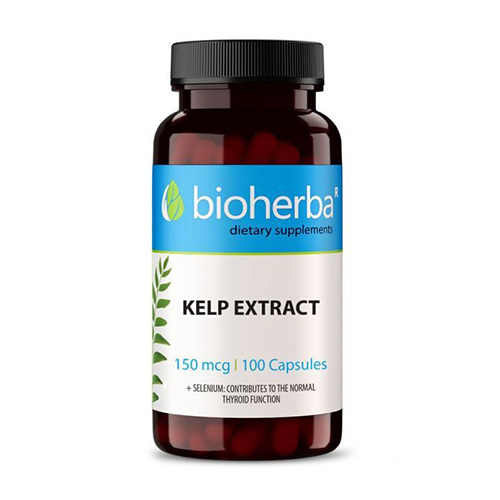 Extrato de algas kelp