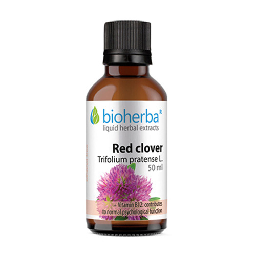 Trevo-ribeiro - tintura, 50 ml