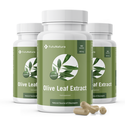 3x Folhas de oliveira – extracto, total de 360 cápsulas
