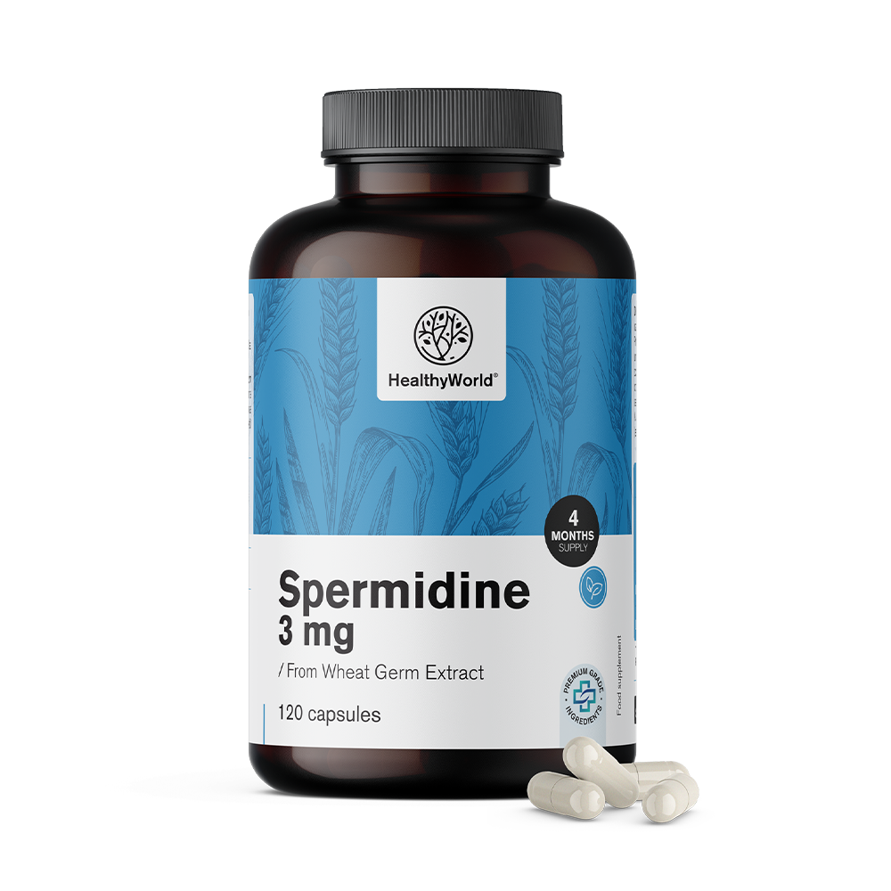 Spermidina 3 mg – do extrato de germe de trigo