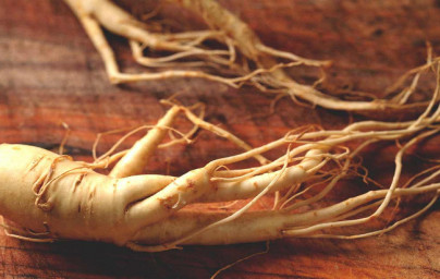 Ginseng (Panax) Ginseng (Panax)