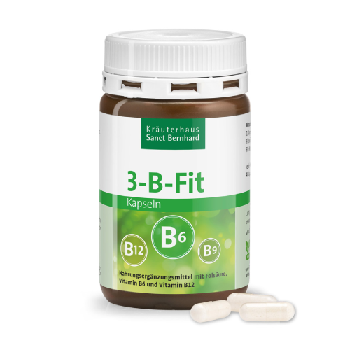 3-B-FIT: vitamin B6 + B12 + folna kislina, 120 kapsul