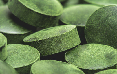 Chlorella Chlorella