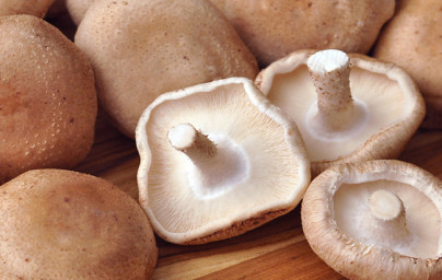 Shiitake