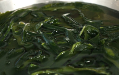 Wakame Wakame