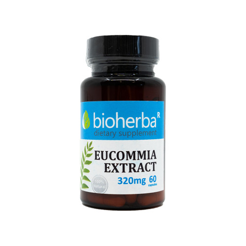 Eucommia extrakt 320 mg, 60 kapsúl