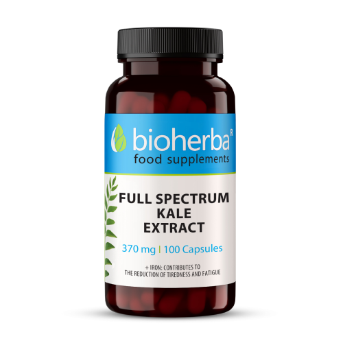 Kel kučeravý 370 mg, 100 kapsúl