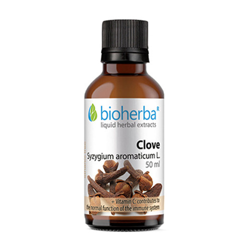 Klinčeky - tinktúra, 50 ml