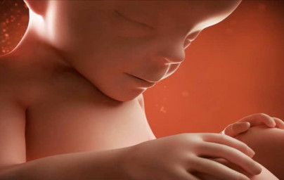 27. týždeň tehotenstva 27. týždeň tehotenstva