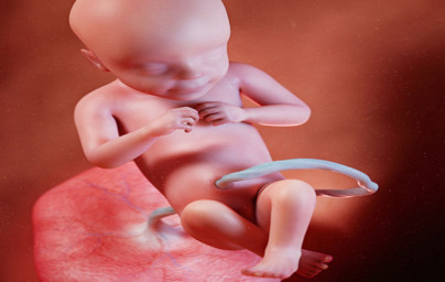 28. týždeň tehotenstva 28. týždeň tehotenstva