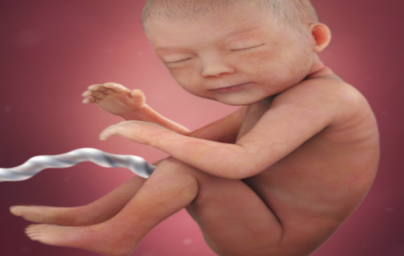 30. týždeň tehotenstva 30. týždeň tehotenstva