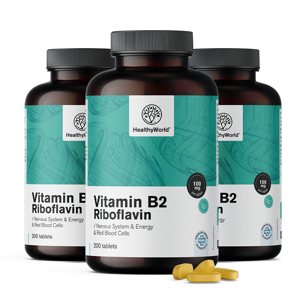 Vitamin B2 – riboflavin 100 mg