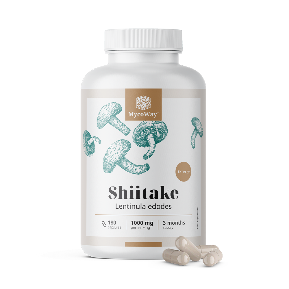 Shiitake 1000 mg - extrakt.