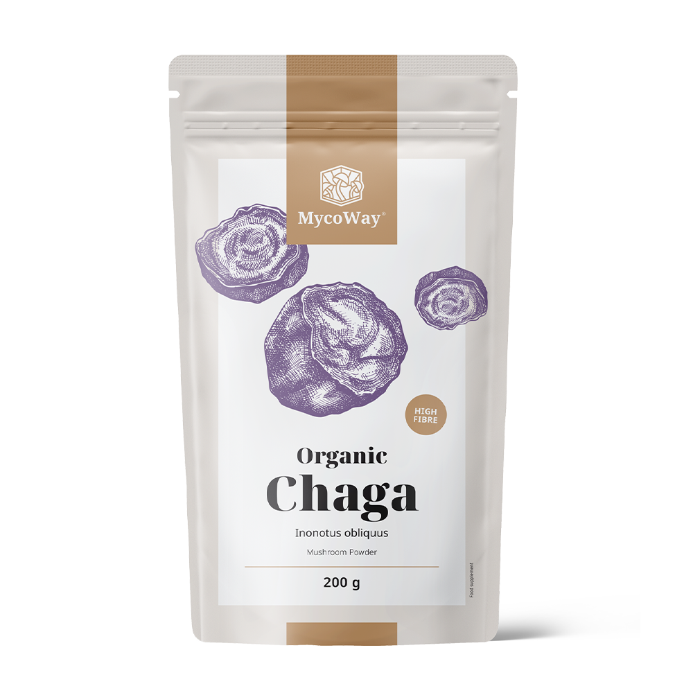 BIO Chaga v prášku