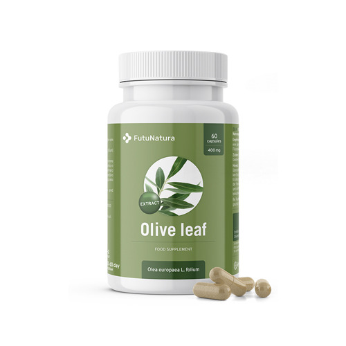 Olive Leaf - Extract, 60 capsules
