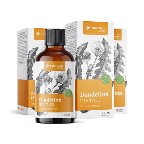 3x Dandelion Root Tincture, total 300 ml