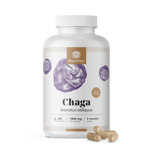 Chaga 1000 mg - Extract 5:1, 180 capsules