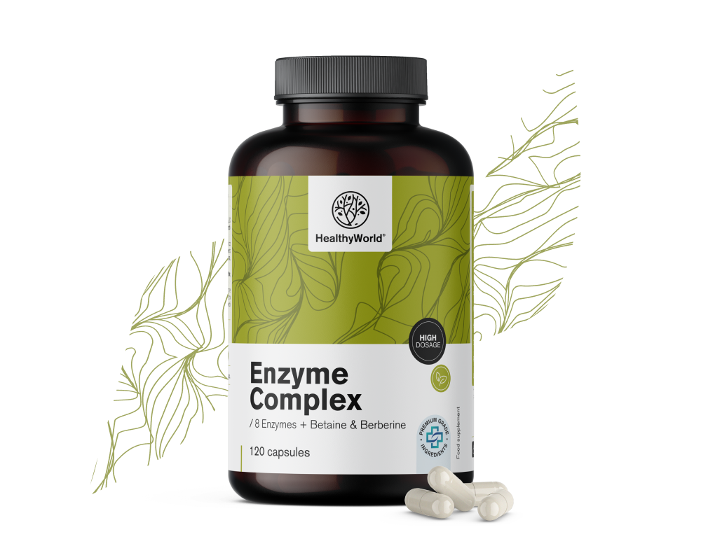 Enzym komplex