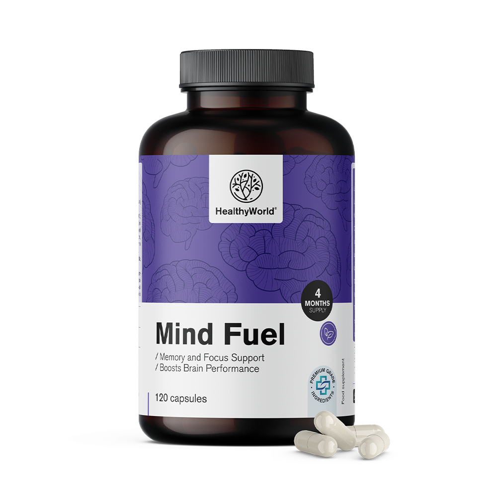 Mind Fuel - paměť a koncentrace.