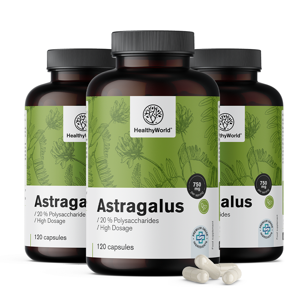 Astragalus – výtažek