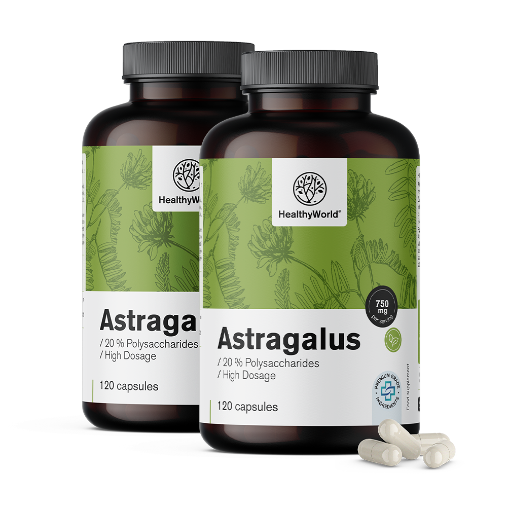 Astragalus – extracto