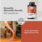 Image preview 2