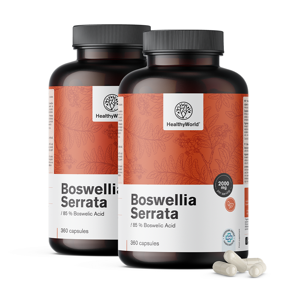 Boswellia (Boswellia Serrata) – 85 % boswellia sav