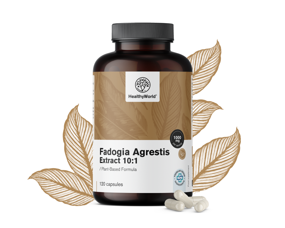 Fadogia Agrestis 1000 mgFadogia Agrestis 1000&nbsp;mg