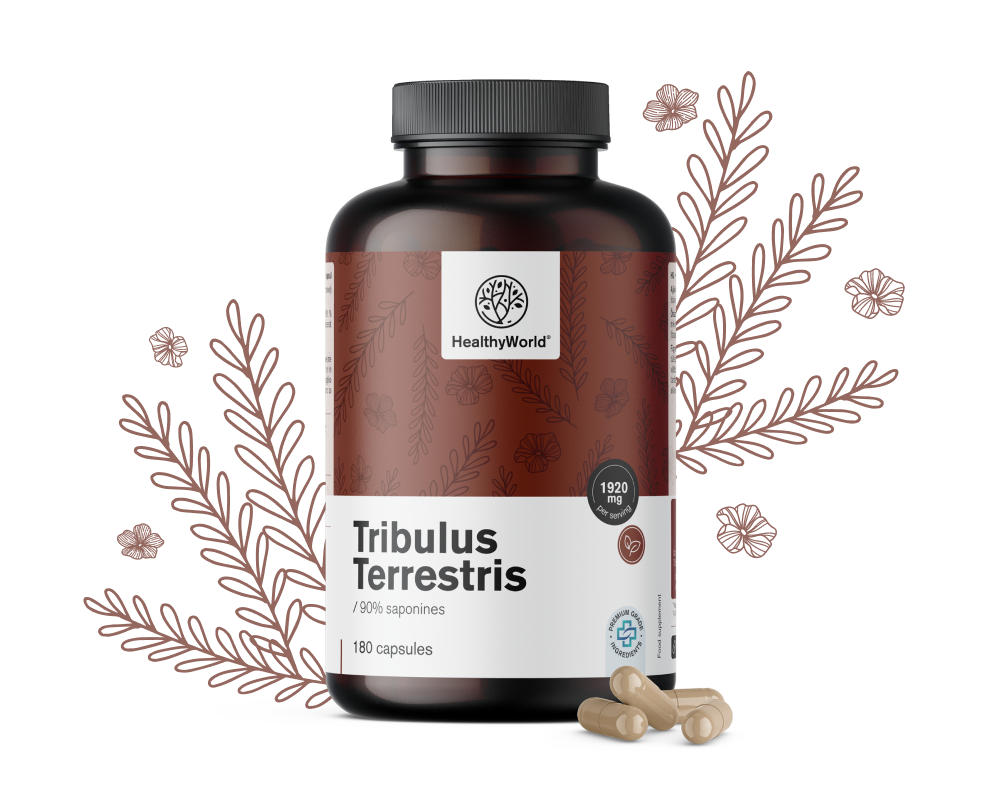 Buzdyganek naziemny – Tribulus 1920&nbsp;mg